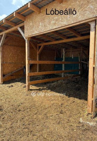 Eladó családi ház, Cserkúton 63 M Ft, 4 szobás