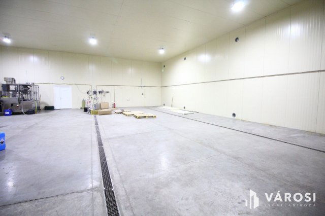 Eladó ipari ingatlan, Hódmezővásárhelyen 175 M Ft