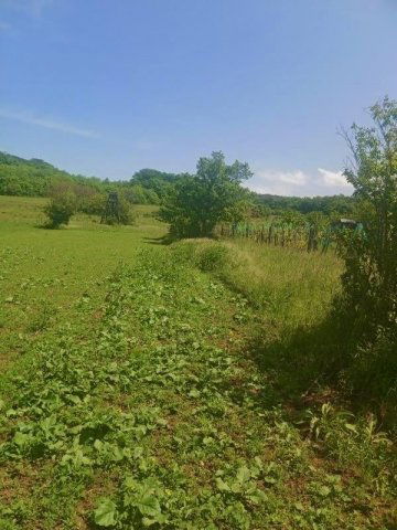 Eladó telek, Tihanyban 15.9 M Ft / költözzbe.hu