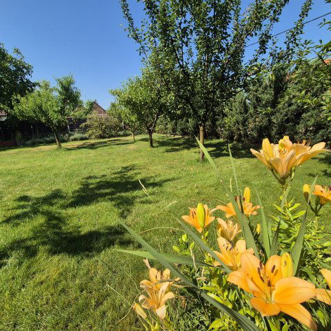 Eladó családi ház, Kecskeméten 99 M Ft, 4 szobás