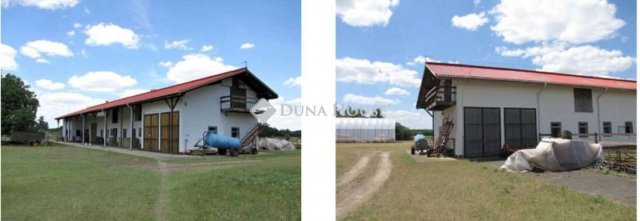 Eladó mezogazdasagi ingatlan, Lajosmizsén 300 M Ft