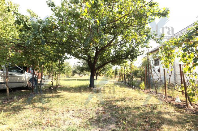 Eladó mezogazdasagi ingatlan, Szegeden 13.9 M Ft