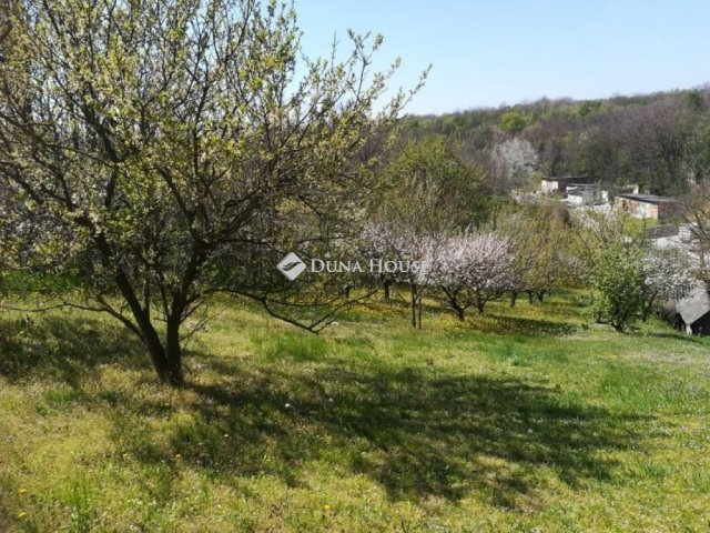 Eladó telek, Ádándon 25 M Ft / költözzbe.hu