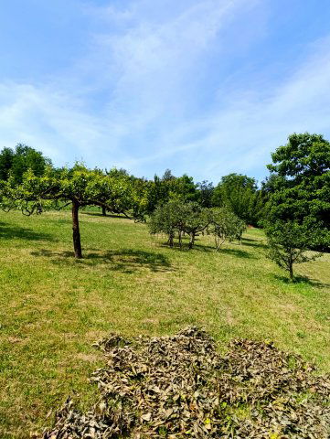 Eladó telek, Boncodföldén 10.8 M Ft / költözzbe.hu
