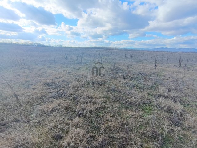 Eladó mezogazdasagi ingatlan, Csomádon 355 M Ft