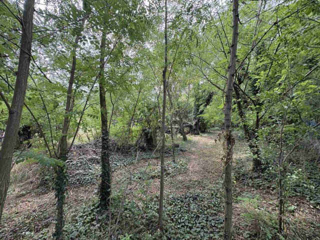 Eladó telek, Balatonedericsen 19.5 M Ft / költözzbe.hu