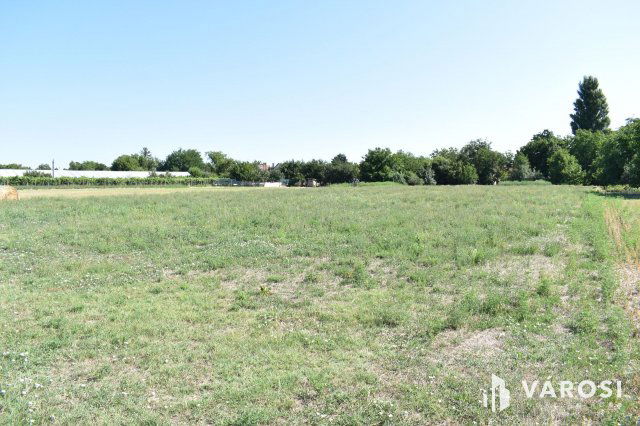 Eladó telek, Békéscsabán 2.5 M Ft / költözzbe.hu