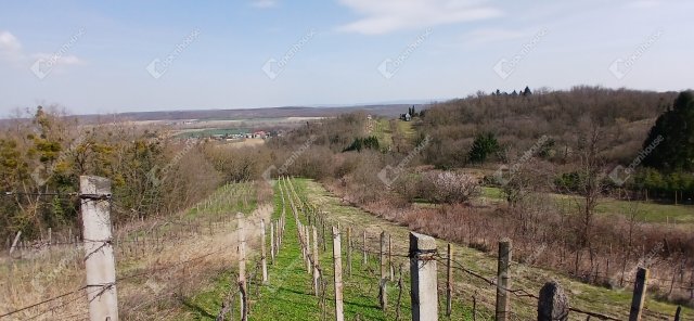 Eladó telek, Nagypálin 4.5 M Ft / költözzbe.hu
