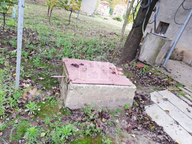 Eladó telek, Somlószőlősön 12 M Ft / költözzbe.hu