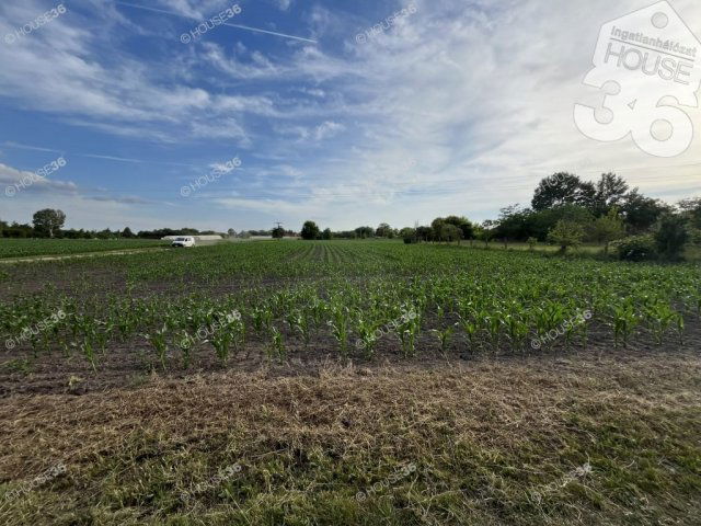 Eladó telek, Kecskeméten 39 M Ft / költözzbe.hu