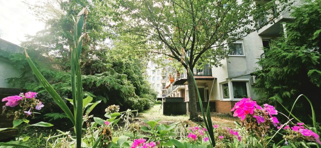 Kiadó téglalakás, albérlet, XIII. kerületben, Kerekes utcában