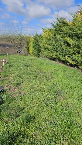 Eladó telek, Pátyon 60 M Ft / költözzbe.hu