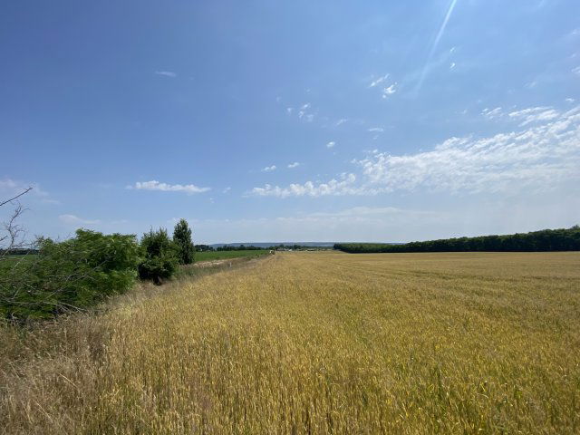 Eladó ipari ingatlan, Pusztazámoron 59.999 M Ft