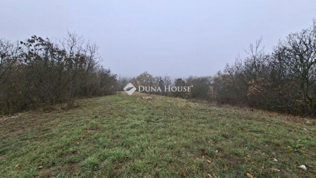Eladó telek, Balatonszőlősön 39.9 M Ft / költözzbe.hu