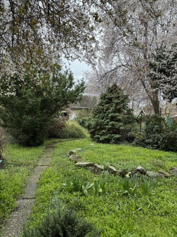 Eladó családi ház, Szegeden 159 M Ft, 8 szobás