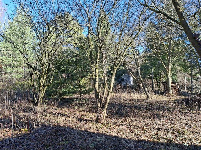 Eladó telek, Budakeszin 29.9 M Ft / költözzbe.hu