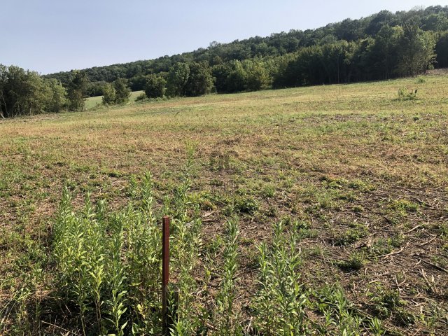 Eladó telek, Nagykovácsiban, Nagykovácsi úton 19.875 M Ft