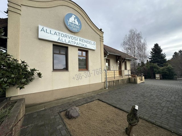 Eladó üzlethelyiség, Sződligeten 150 M Ft, 4 szobás