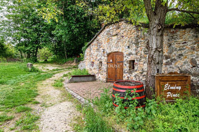 Eladó mezogazdasagi ingatlan, Pátyon 32 M Ft
