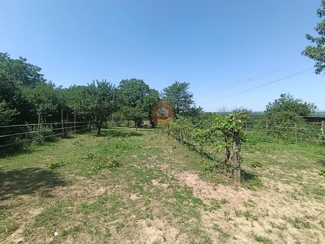 Eladó családi ház, Pellérden 5.5 M Ft, 1 szobás