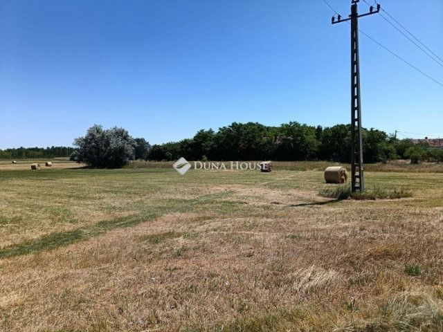 Eladó mezogazdasagi ingatlan, Szegeden 16 M Ft