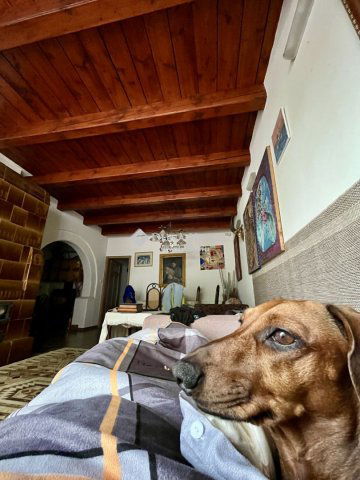 Eladó családi ház, Nyíregyházán 92.9 M Ft, 4 szobás