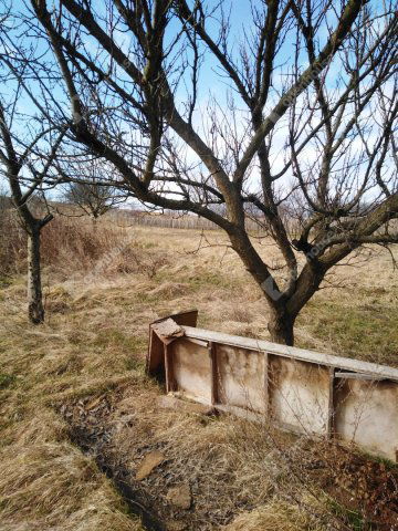 Eladó nyaraló, Szentpéterúron 2.9 M Ft, 1 szobás