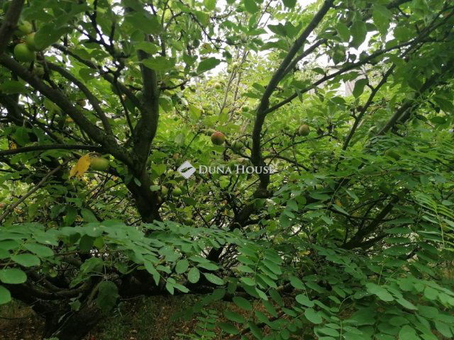 Eladó családi ház, Újbarokon 7.95 M Ft, 1 szobás