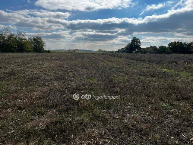 Eladó telek, Jenőn 6.5 M Ft / költözzbe.hu