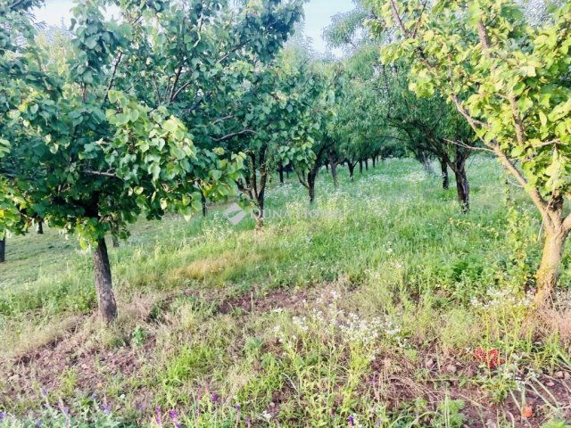 Eladó ipari ingatlan, Szentkirályszabadján 8.5 M Ft