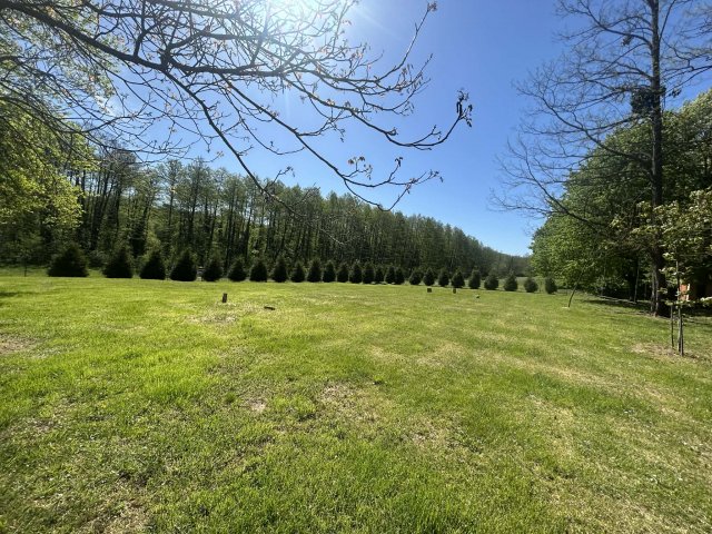 Eladó családi ház, Bárdudvarnokon 82.5 M Ft, 2 szobás