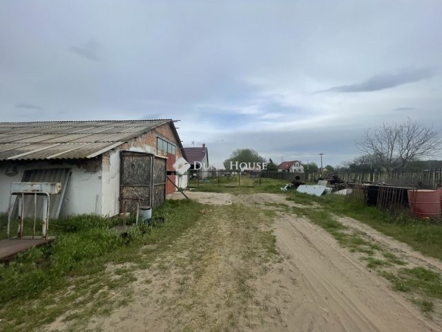 Eladó mezogazdasagi ingatlan, Domaszéken 160 M Ft