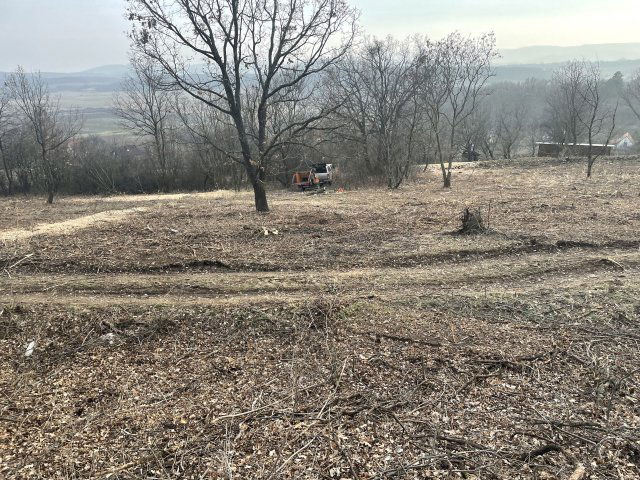 Eladó mezogazdasagi ingatlan, Balatonszőlősön 85 M Ft
