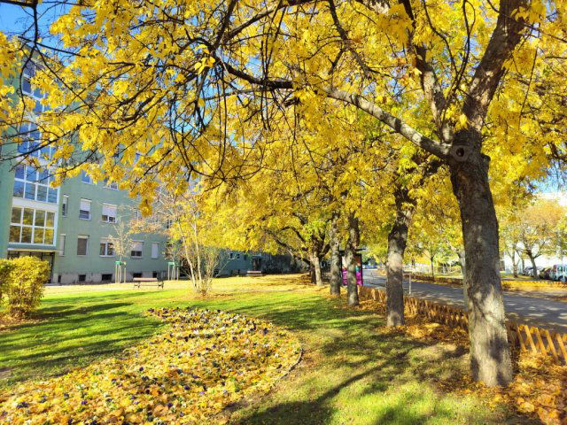 Eladó téglalakás, Budapesten, IX. kerületben, Dési Huber utcában