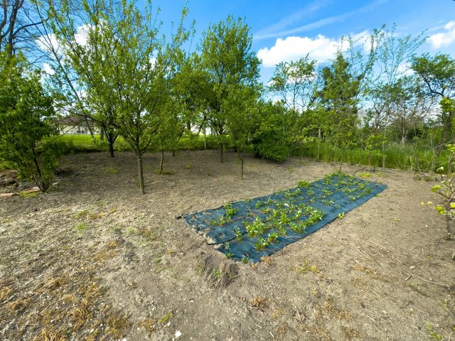 Eladó telek, Tiszalúcon 6.5 M Ft / költözzbe.hu