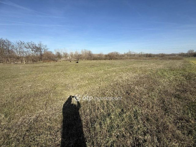 Eladó telek, Tiszakécskén 2.5 M Ft / költözzbe.hu