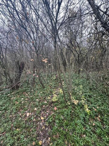 Eladó telek, Kerepesen 22 M Ft / költözzbe.hu