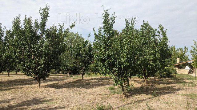 Eladó telek, Vonyarcvashegyen 42 M Ft / költözzbe.hu