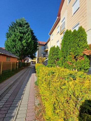 Kiadó téglalakás, albérlet, Hajdúszoboszlón 135 E Ft / hó