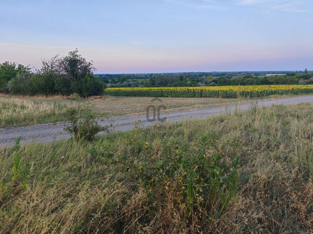 Eladó telek, Pázmándon 9.8 M Ft / költözzbe.hu