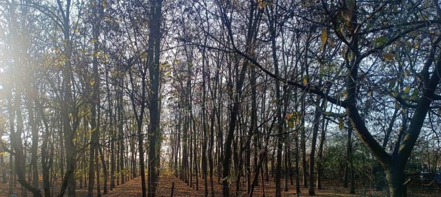 Eladó telek, Kunszentmiklóson 9 M Ft / költözzbe.hu