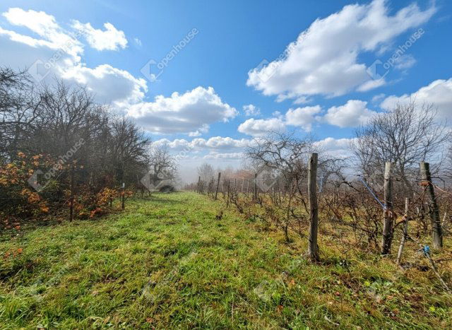 Eladó telek, Mályin 12 M Ft / költözzbe.hu