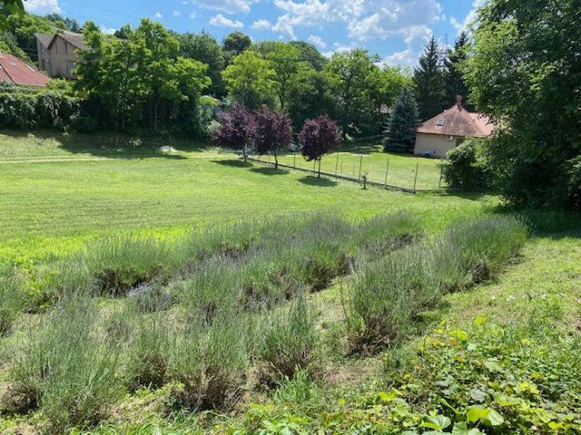 Eladó telek, Biatorbágyon, Forrás utcában 150 M Ft