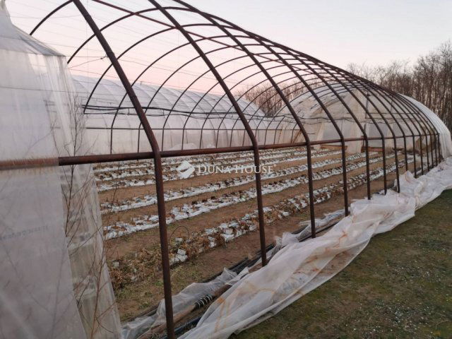 Eladó mezogazdasagi ingatlan, Délegyházán 180 M Ft