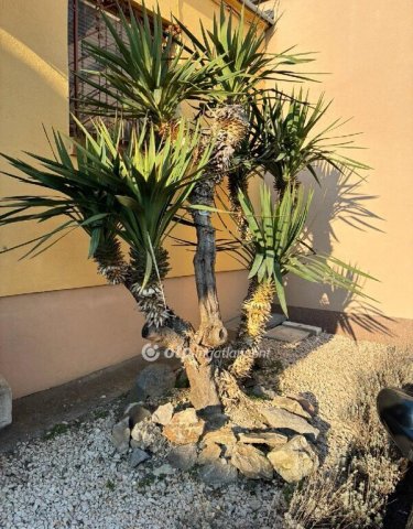 Eladó családi ház, Pécsett 79 M Ft, 2+1 szobás