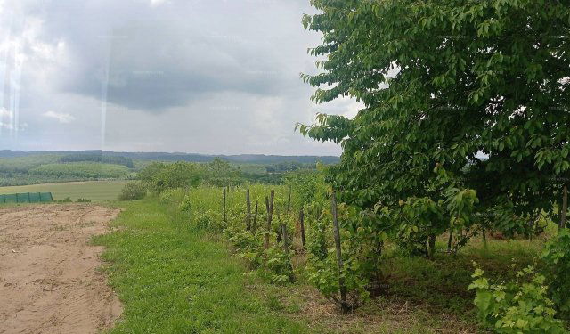 Eladó nyaraló, Nagyradán 7.9 M Ft, 3 szobás