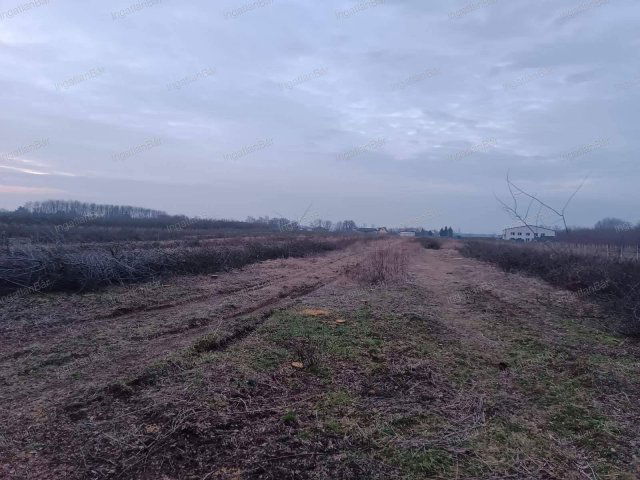 Eladó telek, Nyíregyházán 71 M Ft / költözzbe.hu