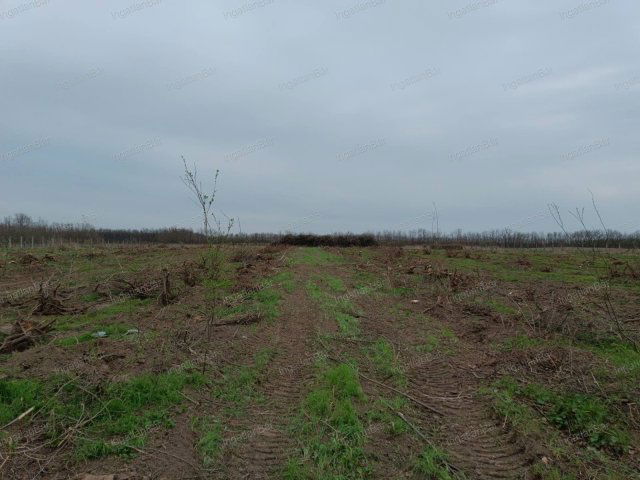 Eladó telek, Nyíregyházán 80 M Ft / költözzbe.hu