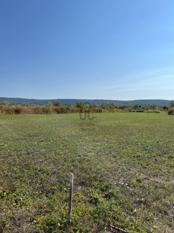 Eladó mezogazdasagi ingatlan, Budakeszin 1.49 M Ft