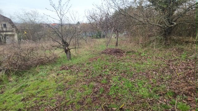 Eladó telek, Szadán 35 M Ft / költözzbe.hu